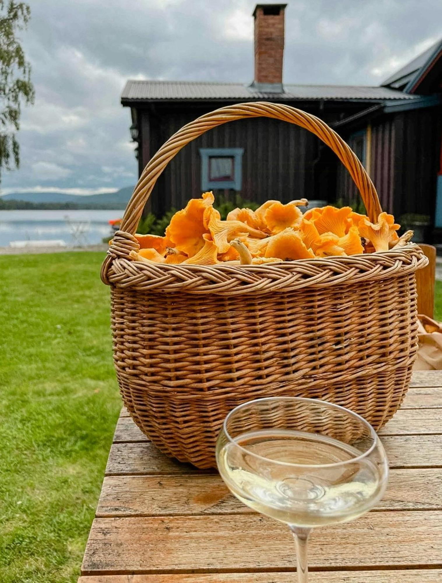 Rural House With Panoramic View Over Lake Hansa Villa Nasviken Exterior photo